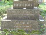 image of grave number 149615